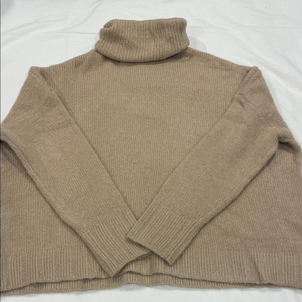 Elegant Beige Turtleneck Sweater